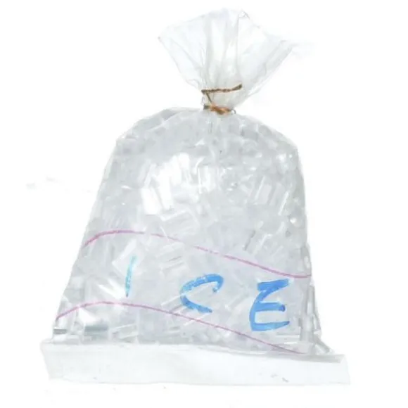 Dollhouse Miniature Bag of Ice