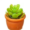 Dollhouse Miniature Greenery Terra Cotta Pot