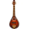 Dollhouse Miniature Mandolin with Case
