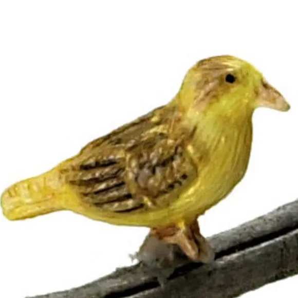 Dollhouse Miniature Norwich Fancy Canary