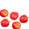5 Dollhouse Miniature Red Peaches