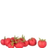 Dollhouse Miniature Tomatoes