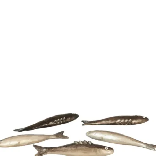 5 Dollhouse Salmon